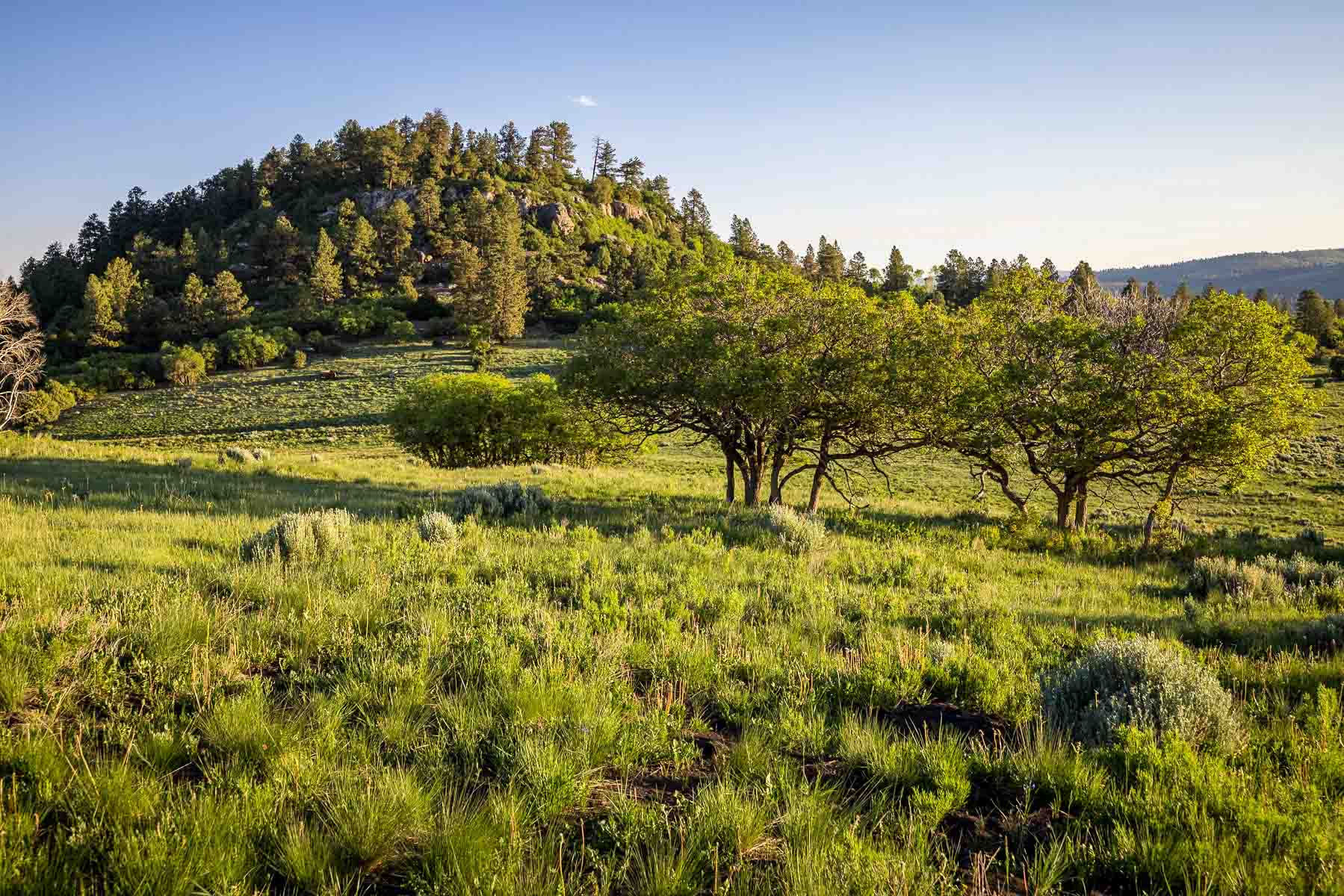 Telluride Renegade Ranch property picture 45 of 63