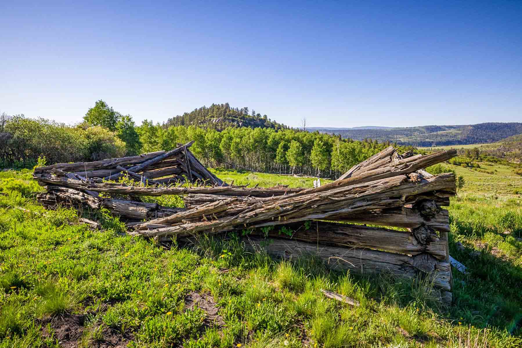 Telluride Renegade Ranch property picture 30 of 63