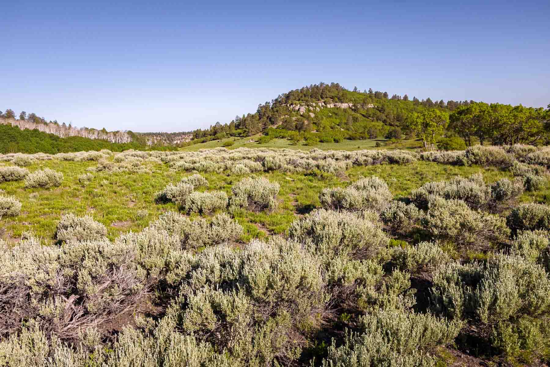 Telluride Renegade Ranch property picture 58 of 63
