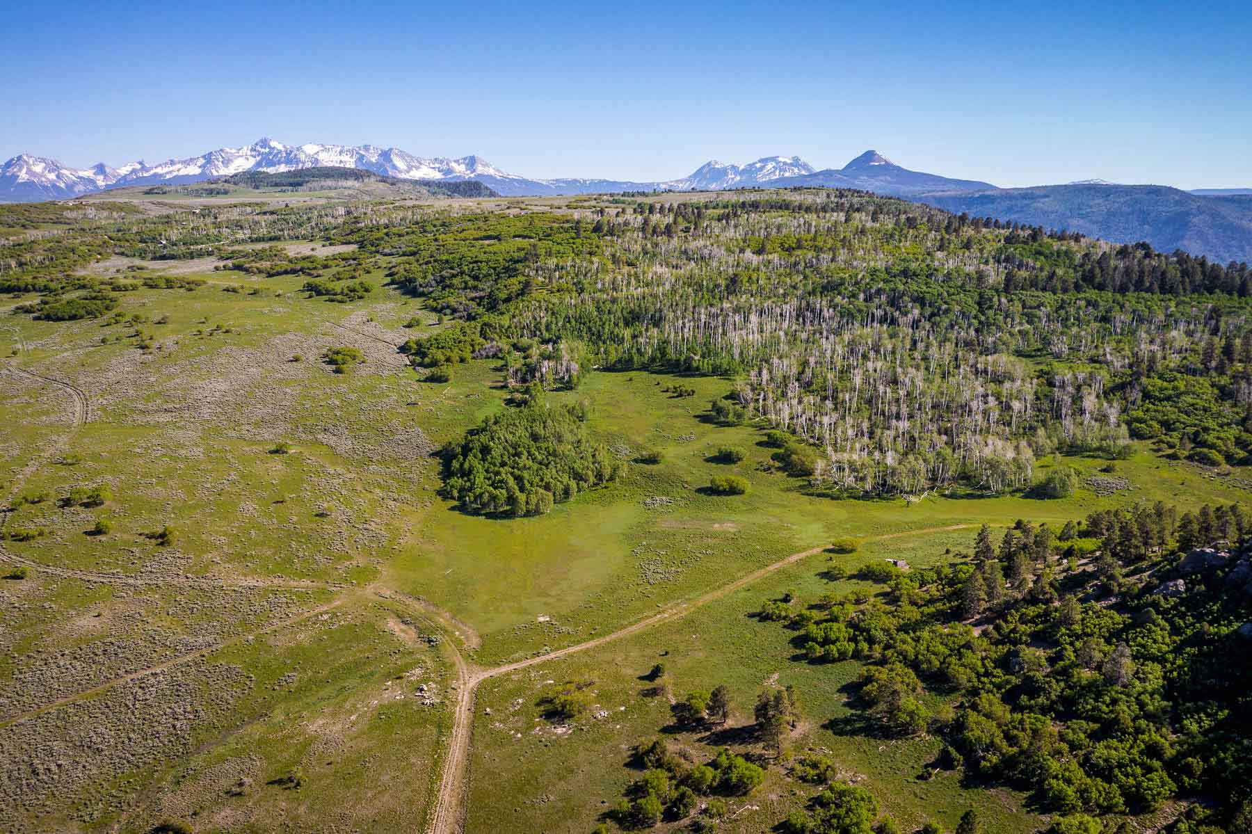 Telluride Renegade Ranch property picture 27 of 63