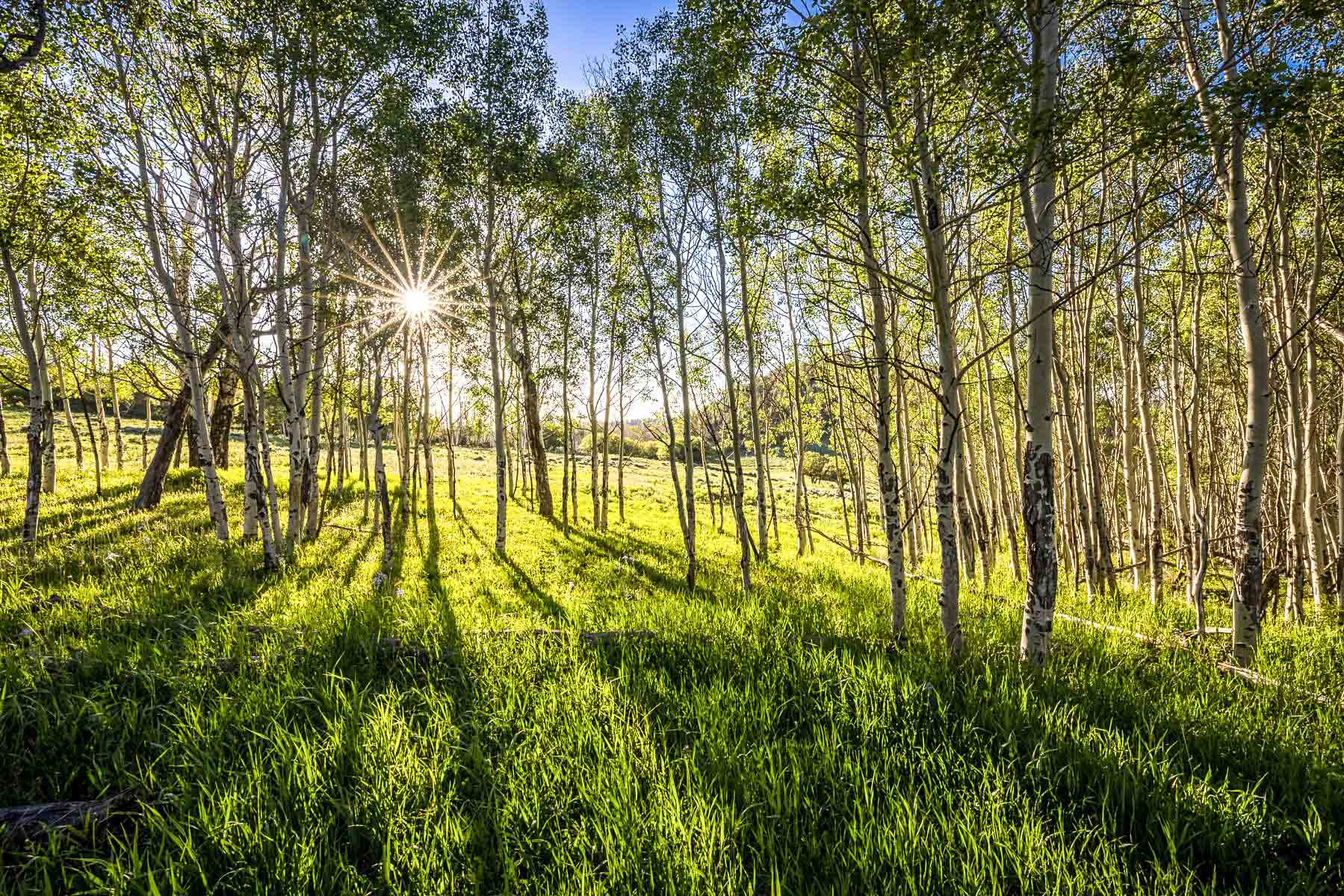 Telluride Renegade Ranch property picture 9 of 63