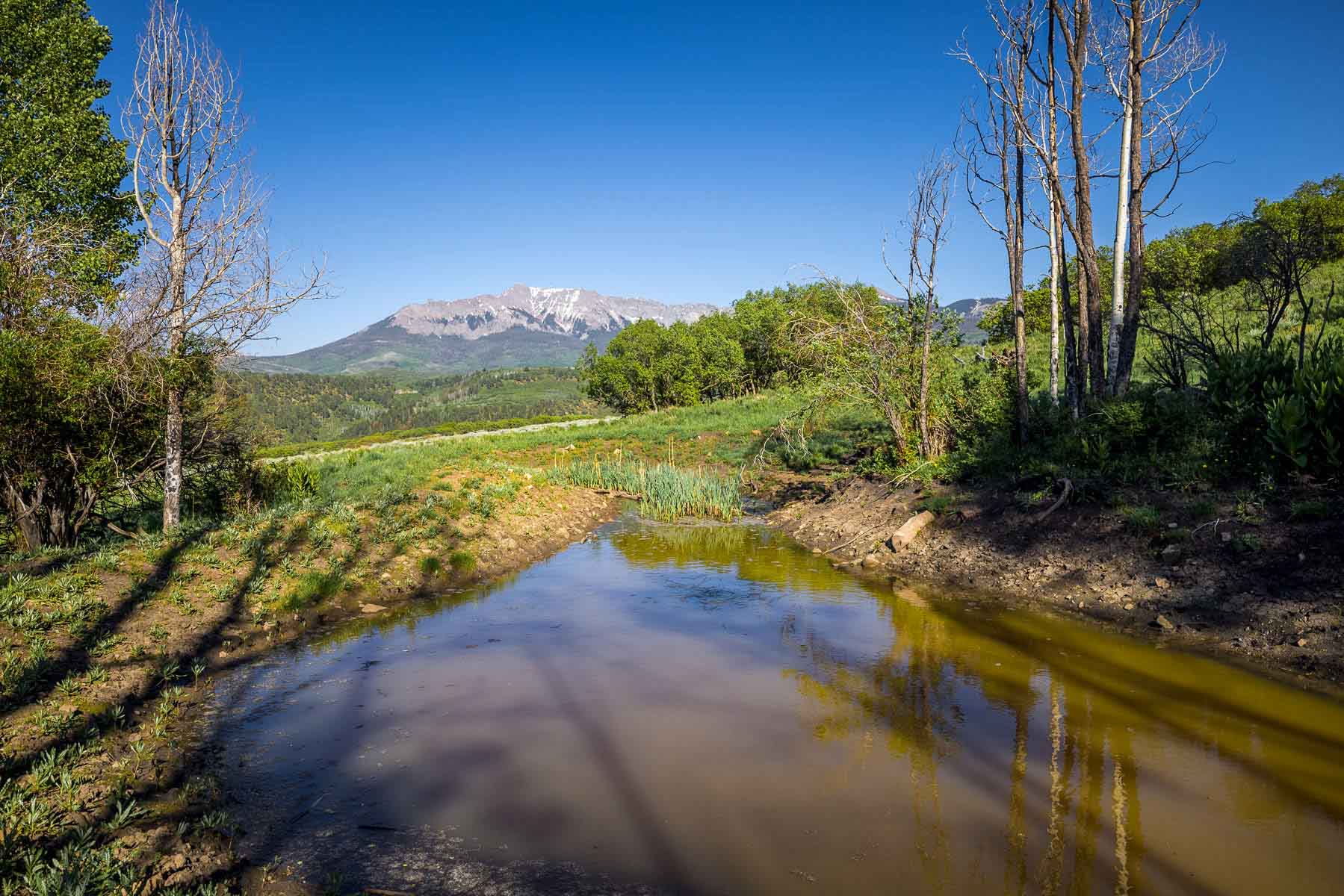 Telluride Renegade Ranch property picture 6 of 63