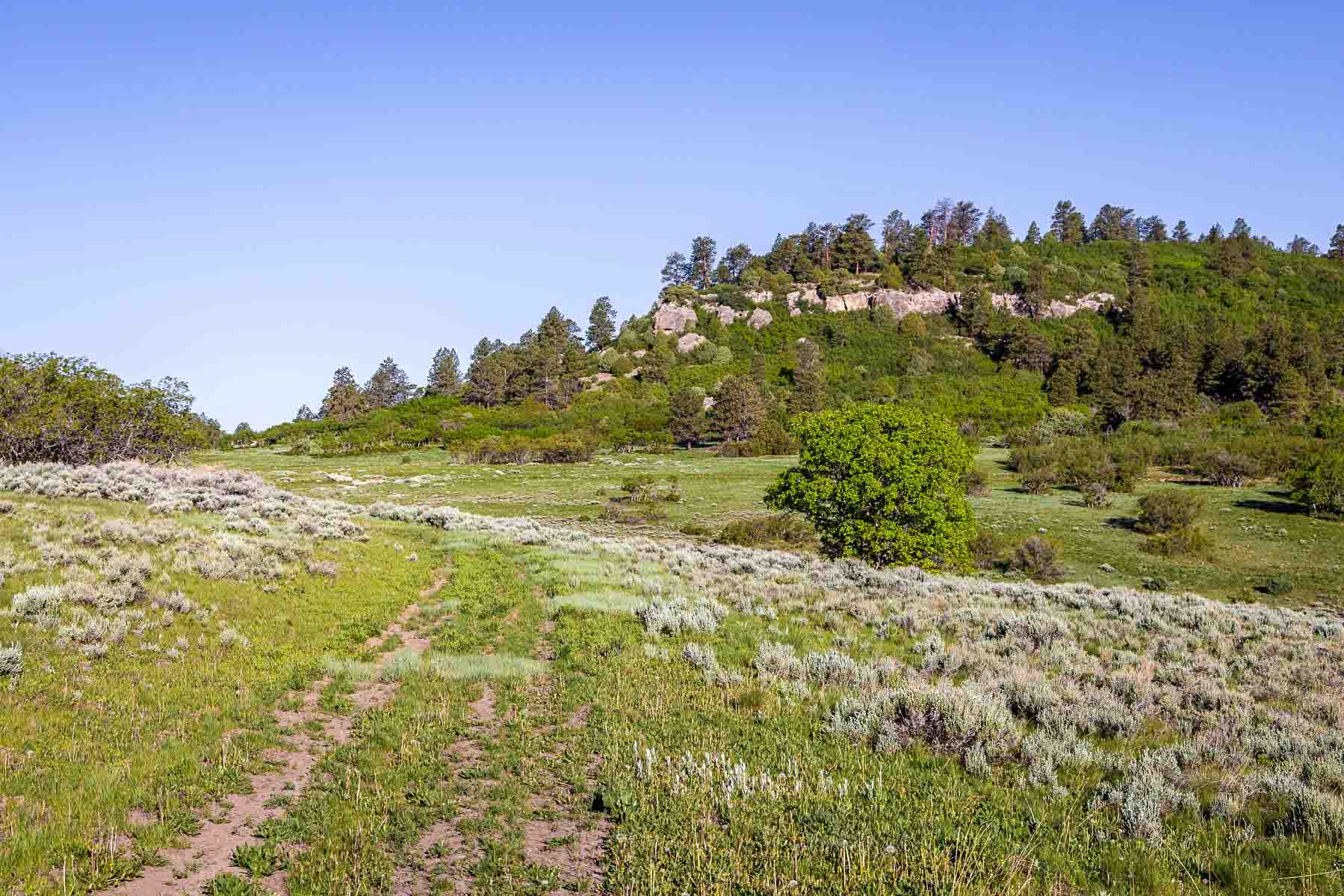Telluride Renegade Ranch property picture 51 of 63