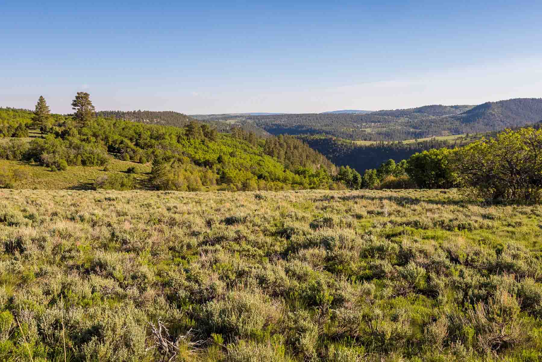 Telluride Renegade Ranch property picture 52 of 63