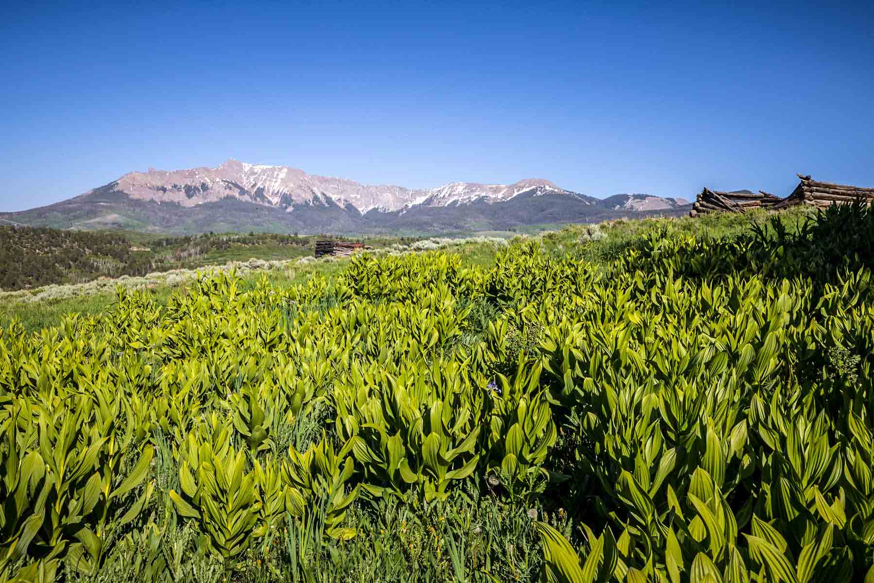 Telluride Renegade Ranch property picture 31 of 63