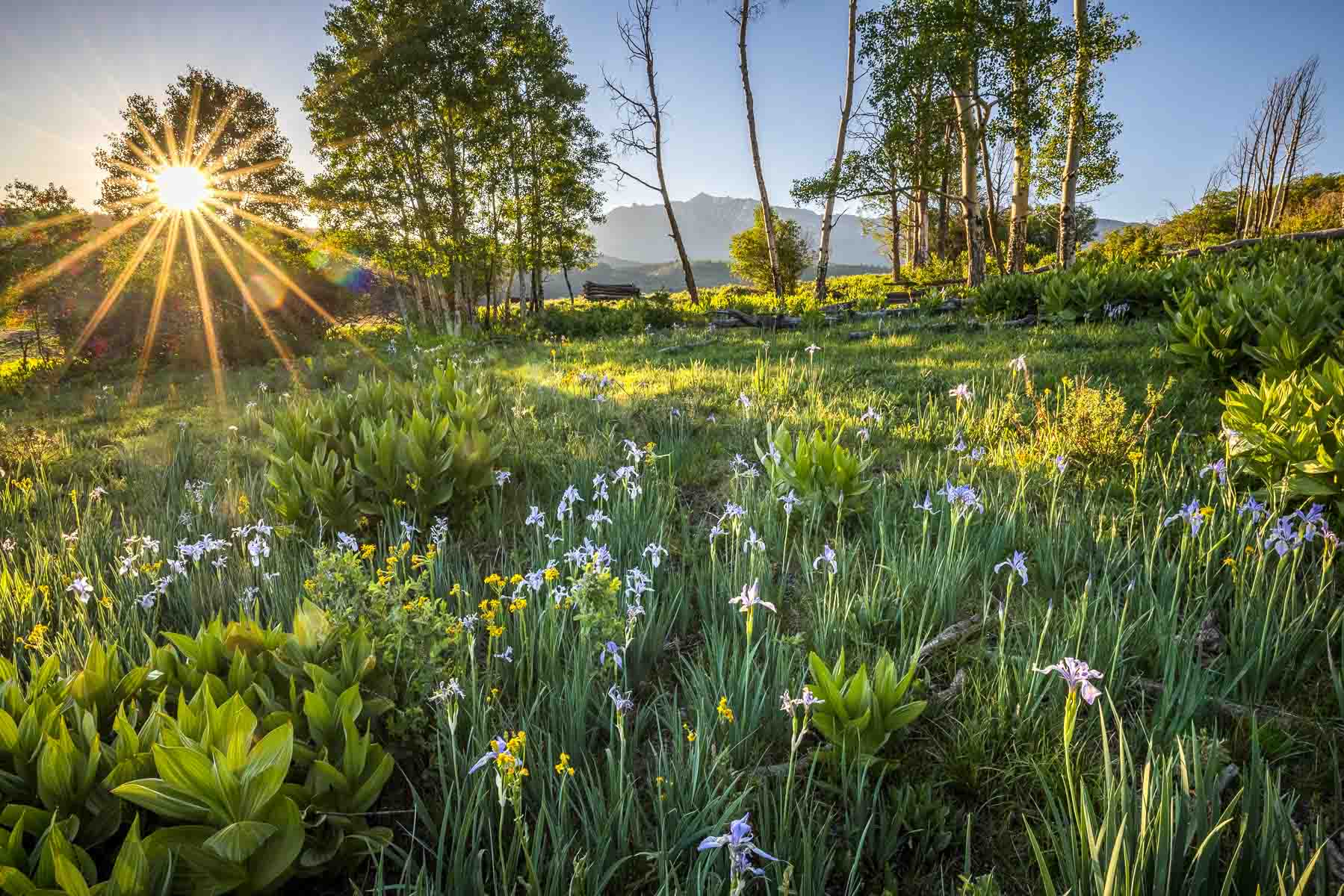 Telluride Renegade Ranch property picture 44 of 63