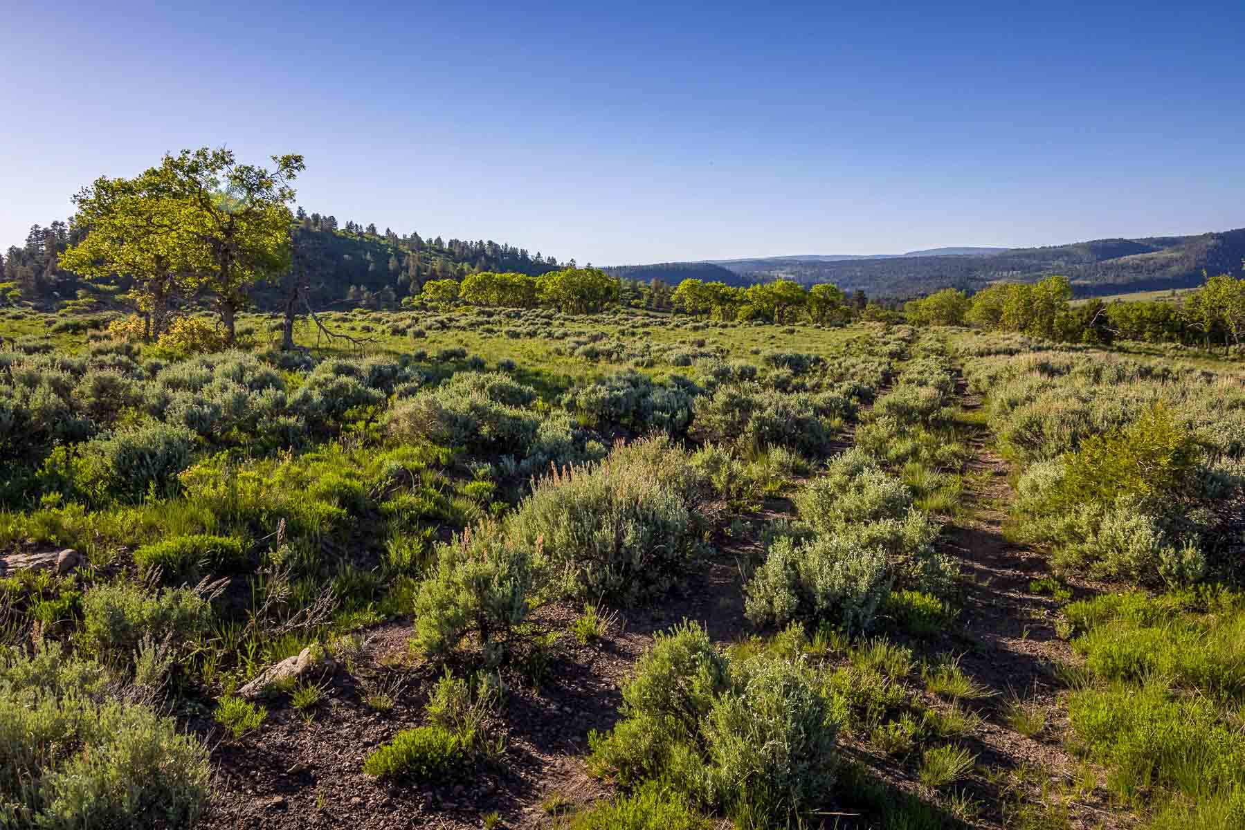 Telluride Renegade Ranch property picture 35 of 63