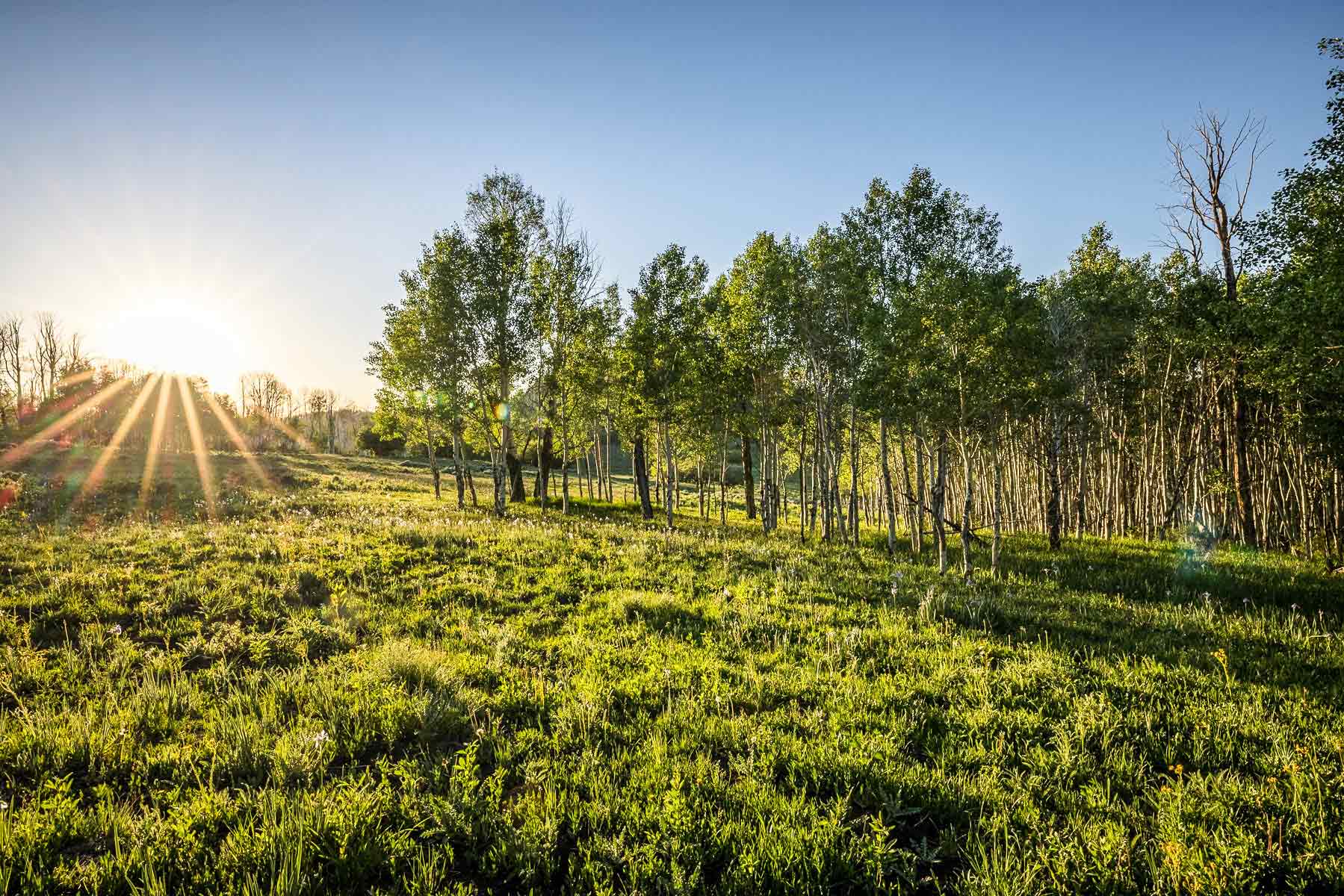 Telluride Renegade Ranch property picture 36 of 63