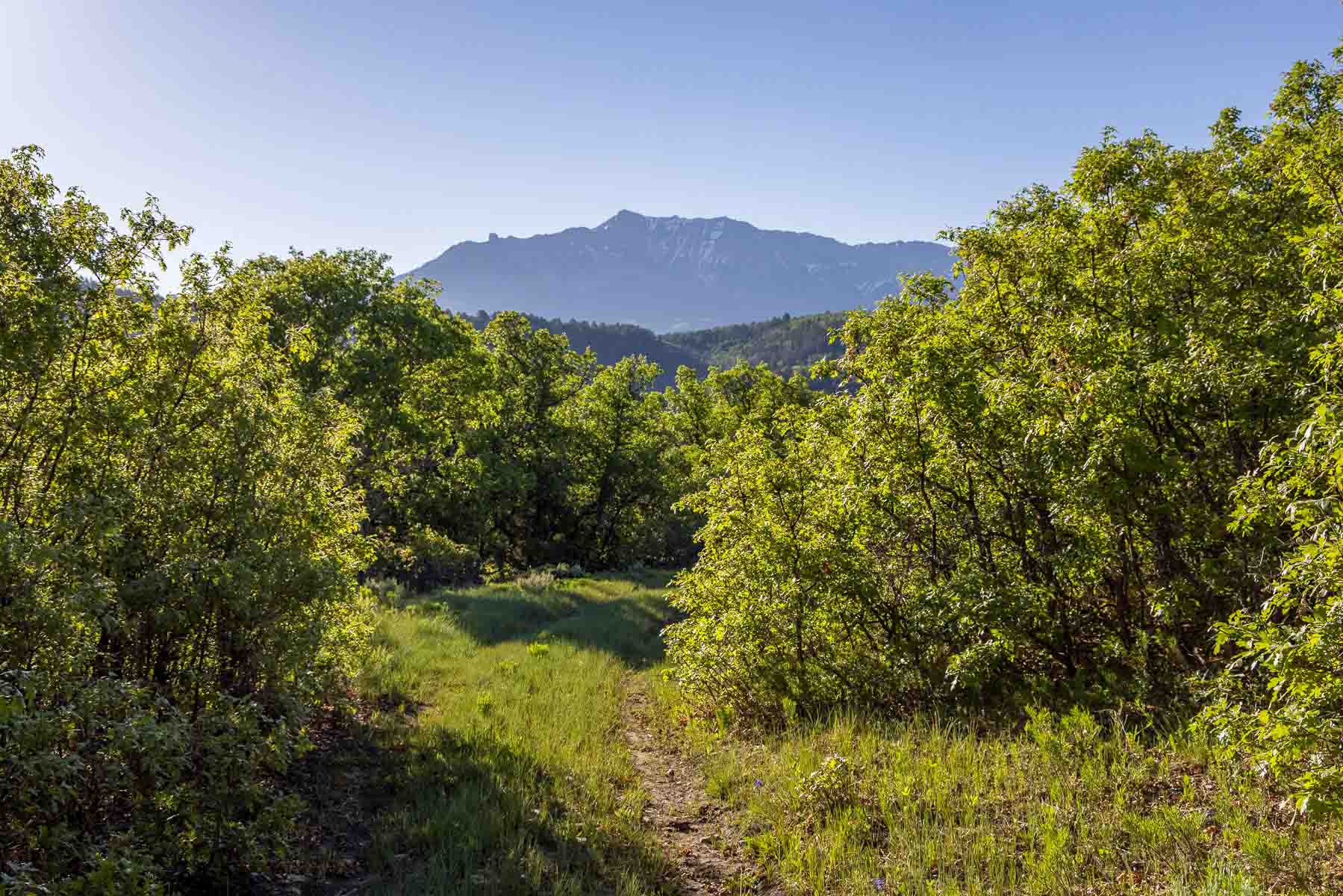 Telluride Renegade Ranch property picture 53 of 63