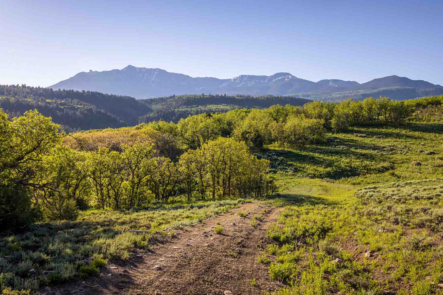 Telluride Renegade Ranch property picture 10 of 63