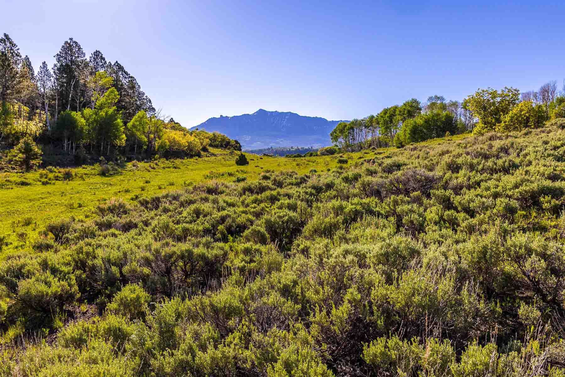 Telluride Renegade Ranch property picture 60 of 63