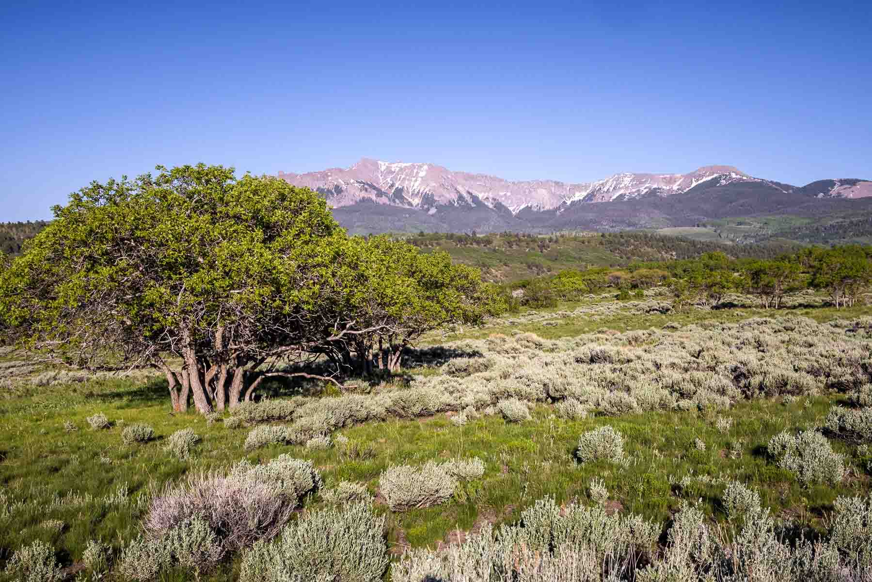 Telluride Renegade Ranch property picture 34 of 63