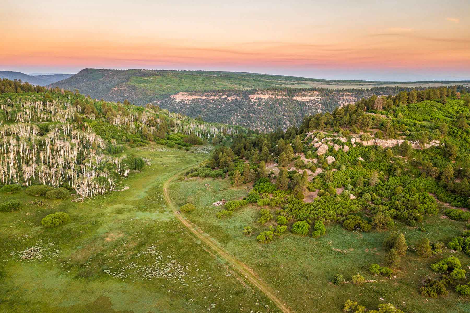 Telluride Renegade Ranch Hall and Hall