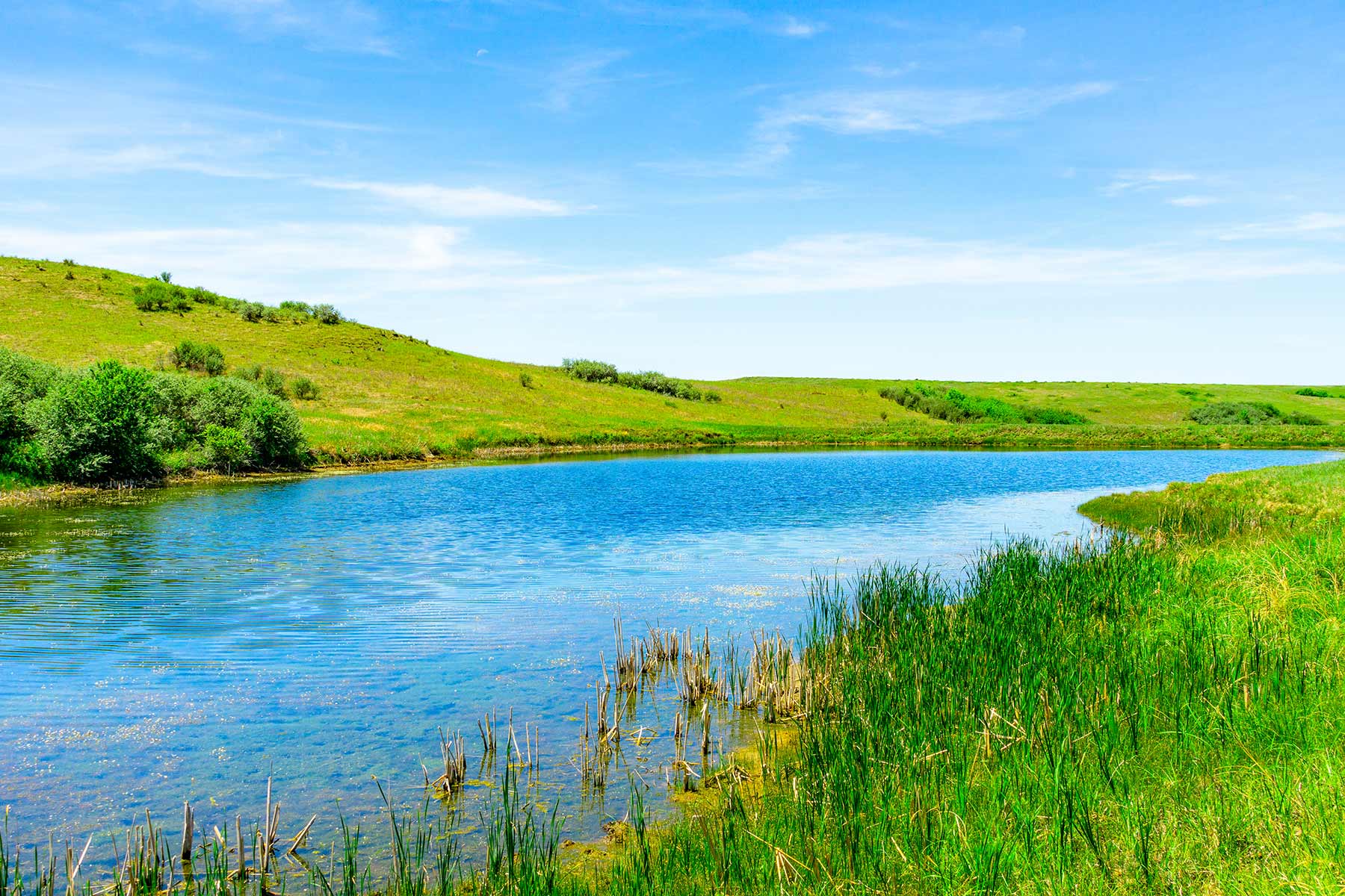 Little White River Ranch property picture 32 of 189