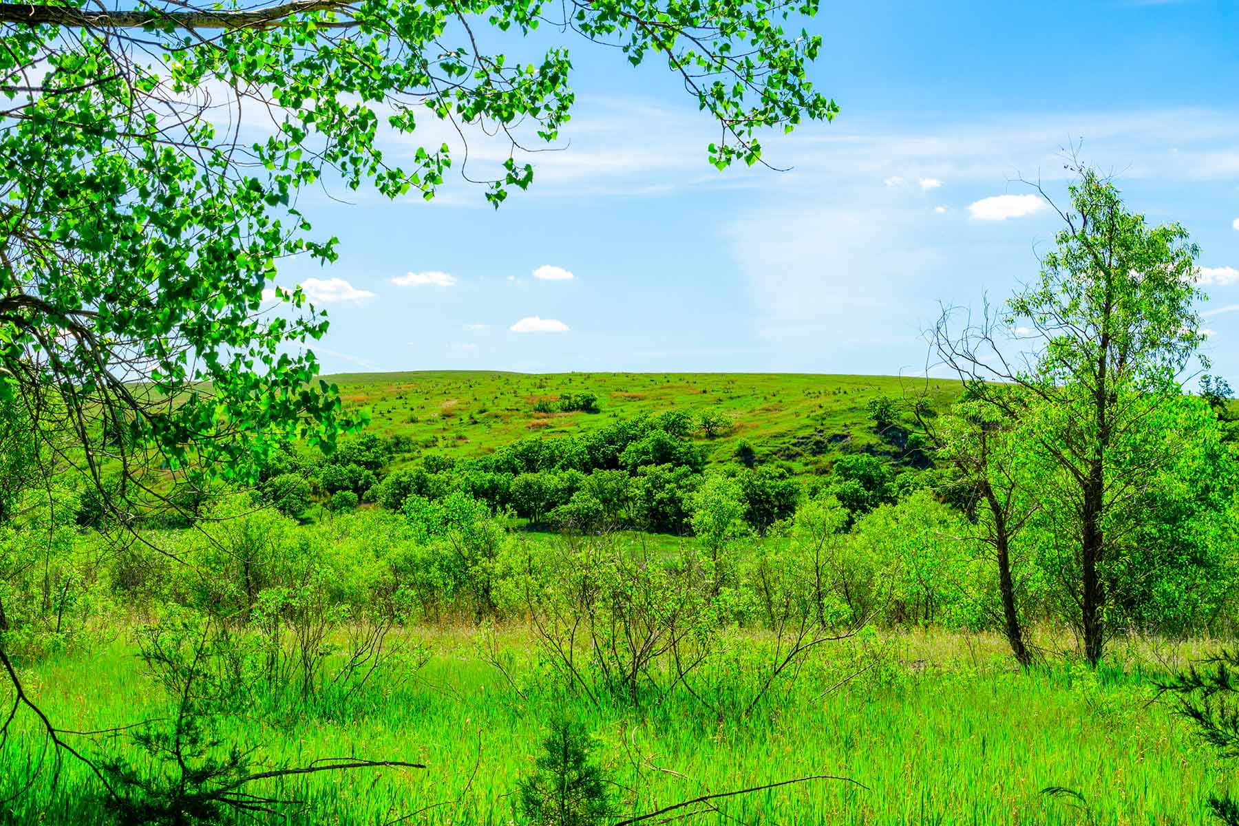 Little White River Ranch property picture 120 of 189