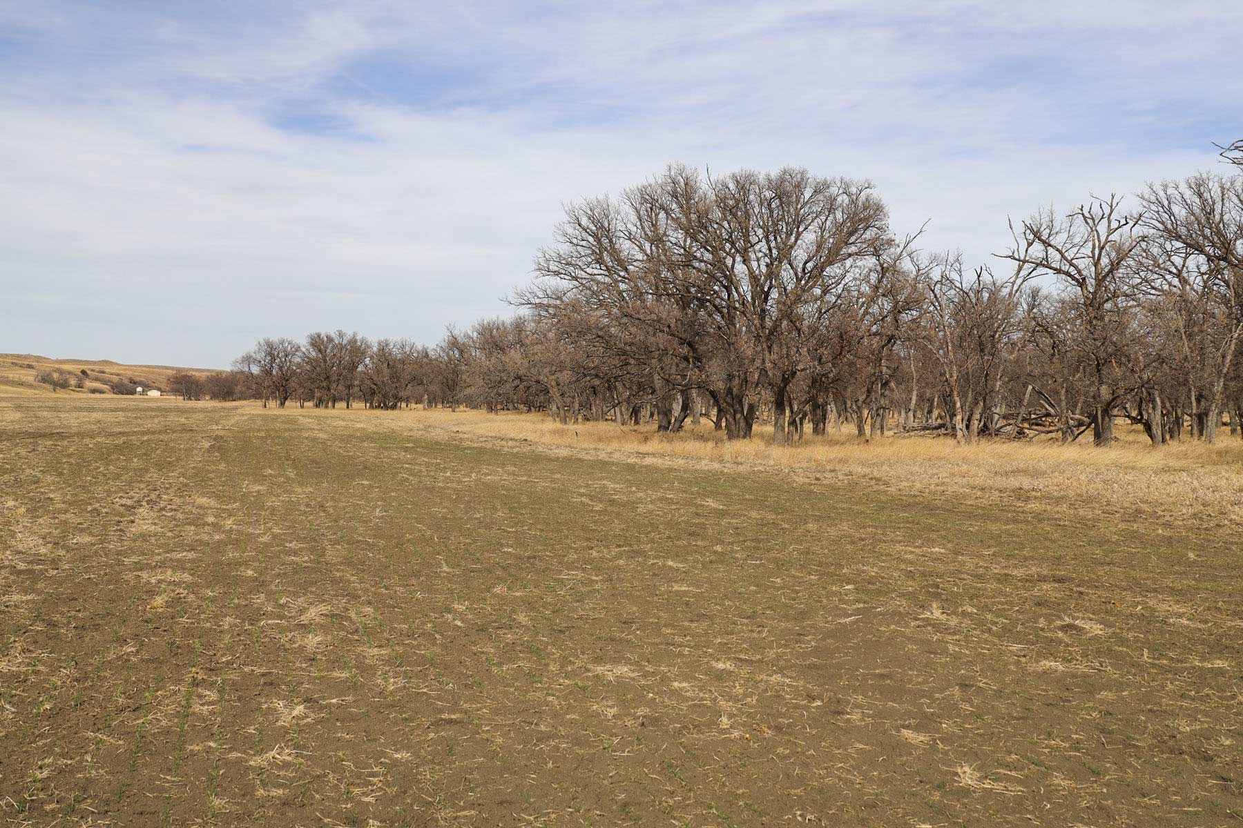 Little White River Ranch property picture 144 of 189