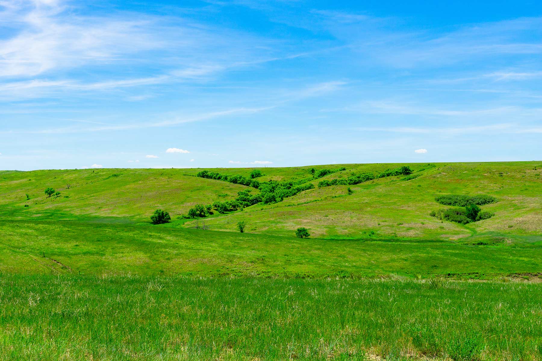 Little White River Ranch property picture 34 of 189