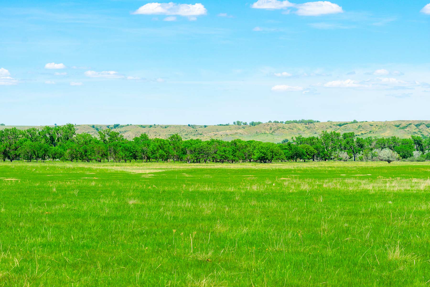 Little White River Ranch property picture 100 of 189