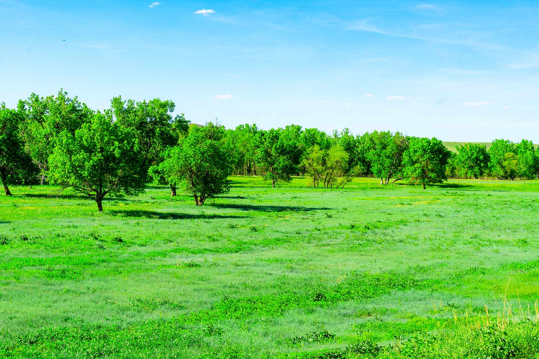 Little White River Ranch property picture 127 of 189