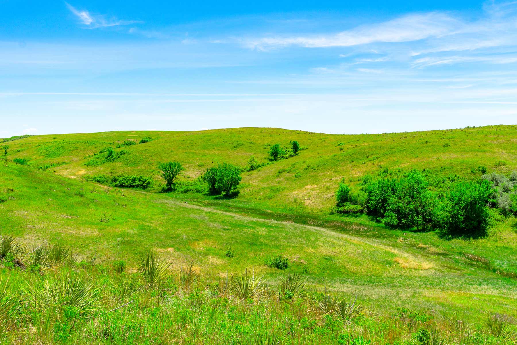 Little White River Ranch property picture 55 of 189
