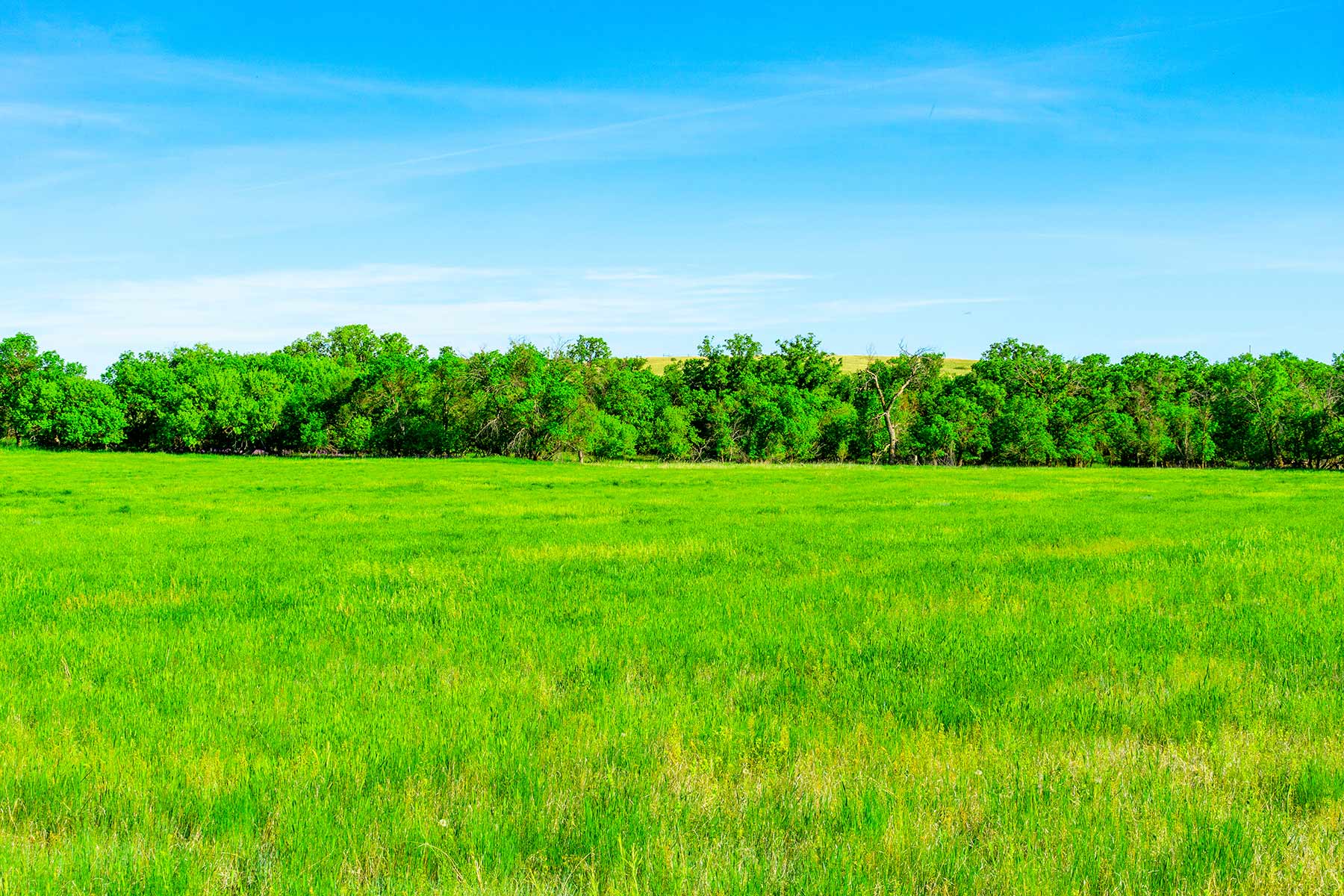 Little White River Ranch property picture 141 of 189