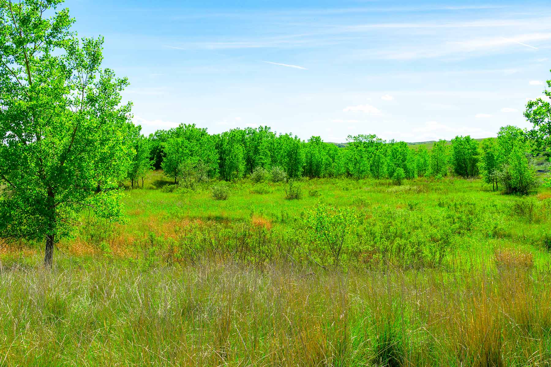 Little White River Ranch property picture 112 of 189