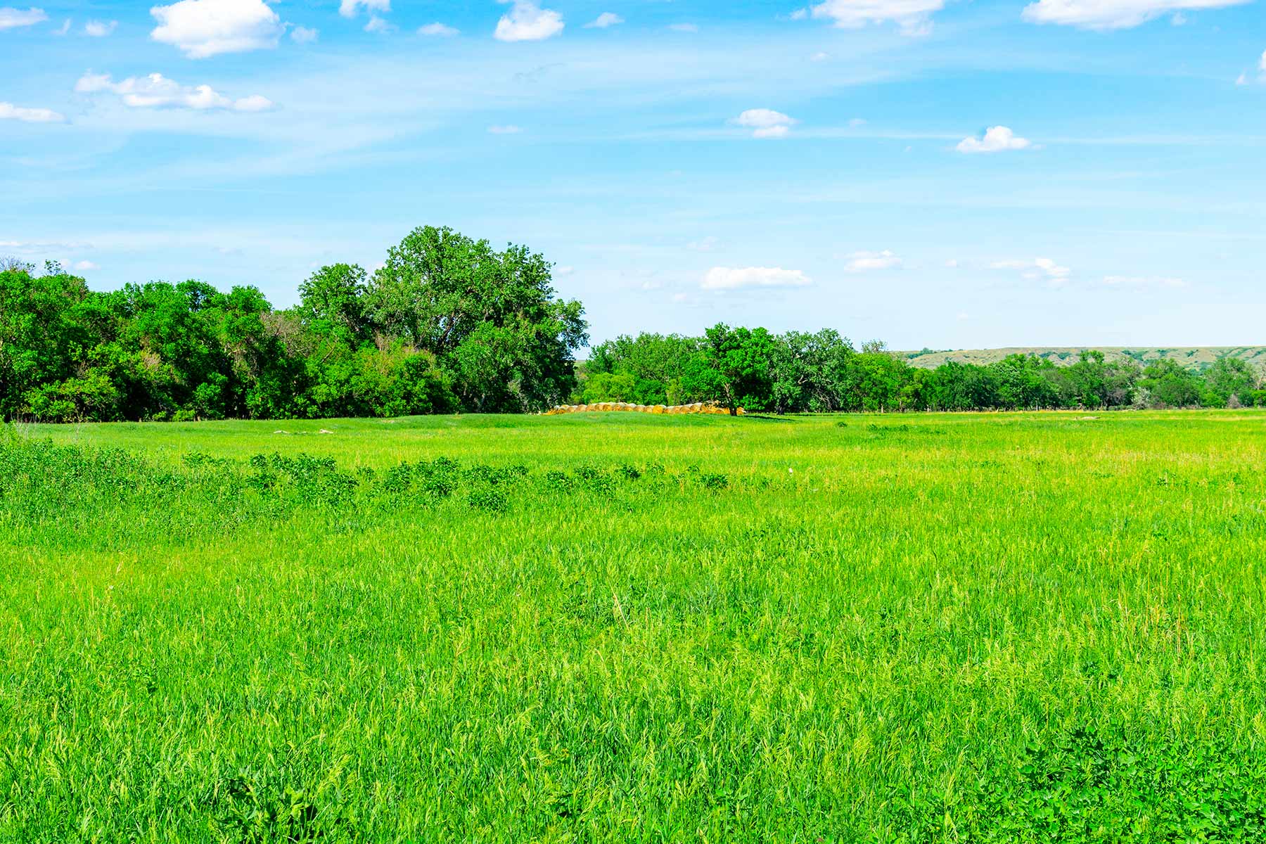 Little White River Ranch property picture 103 of 189