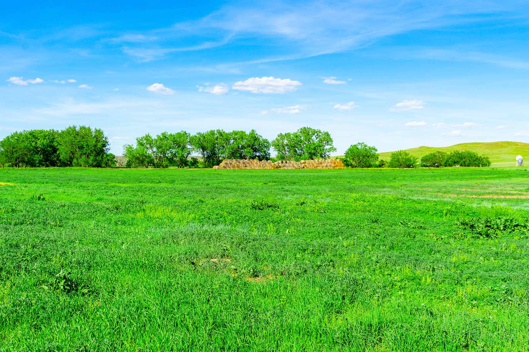 Little White River Ranch property picture 128 of 189