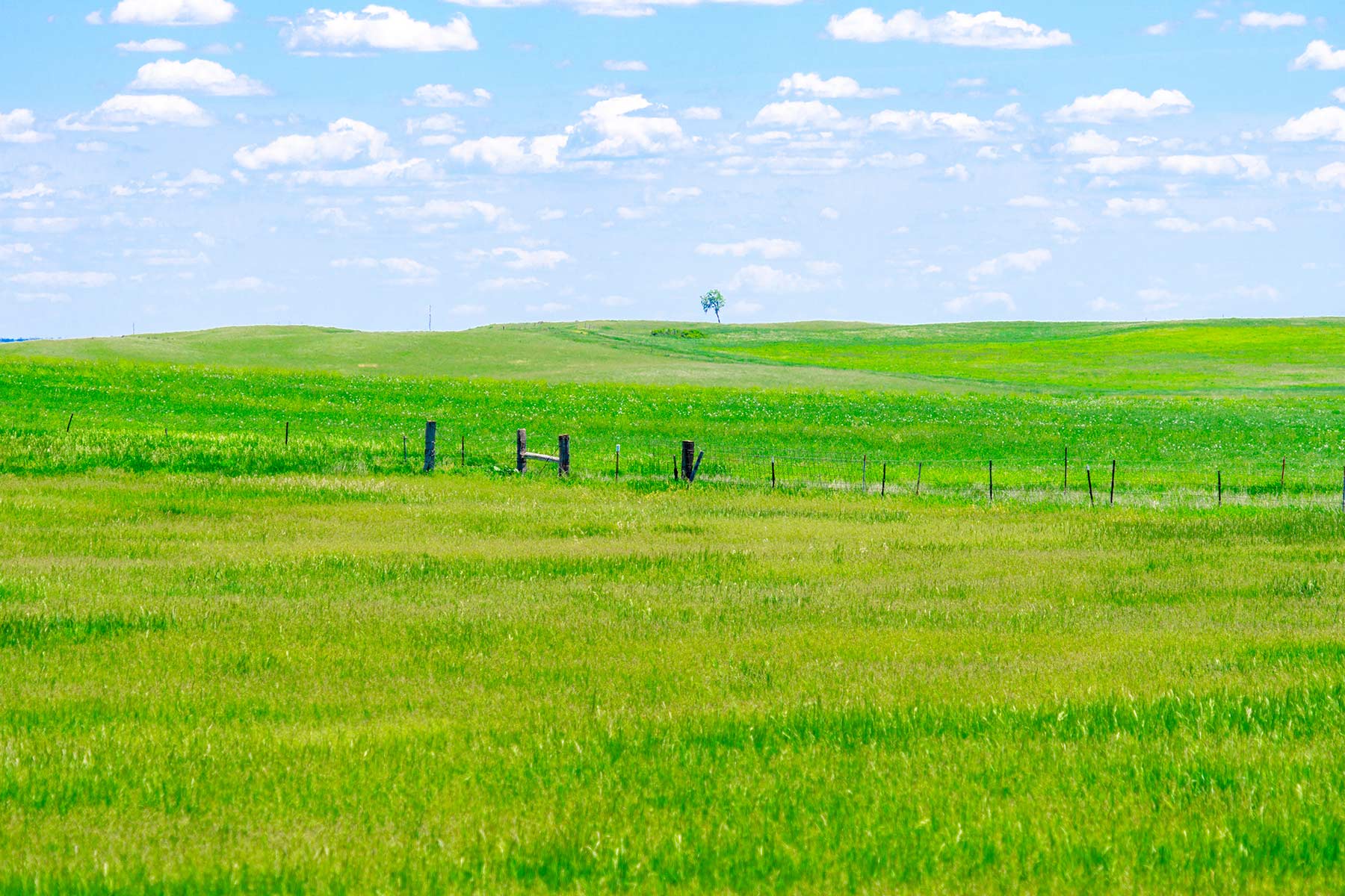 Little White River Ranch property picture 63 of 189