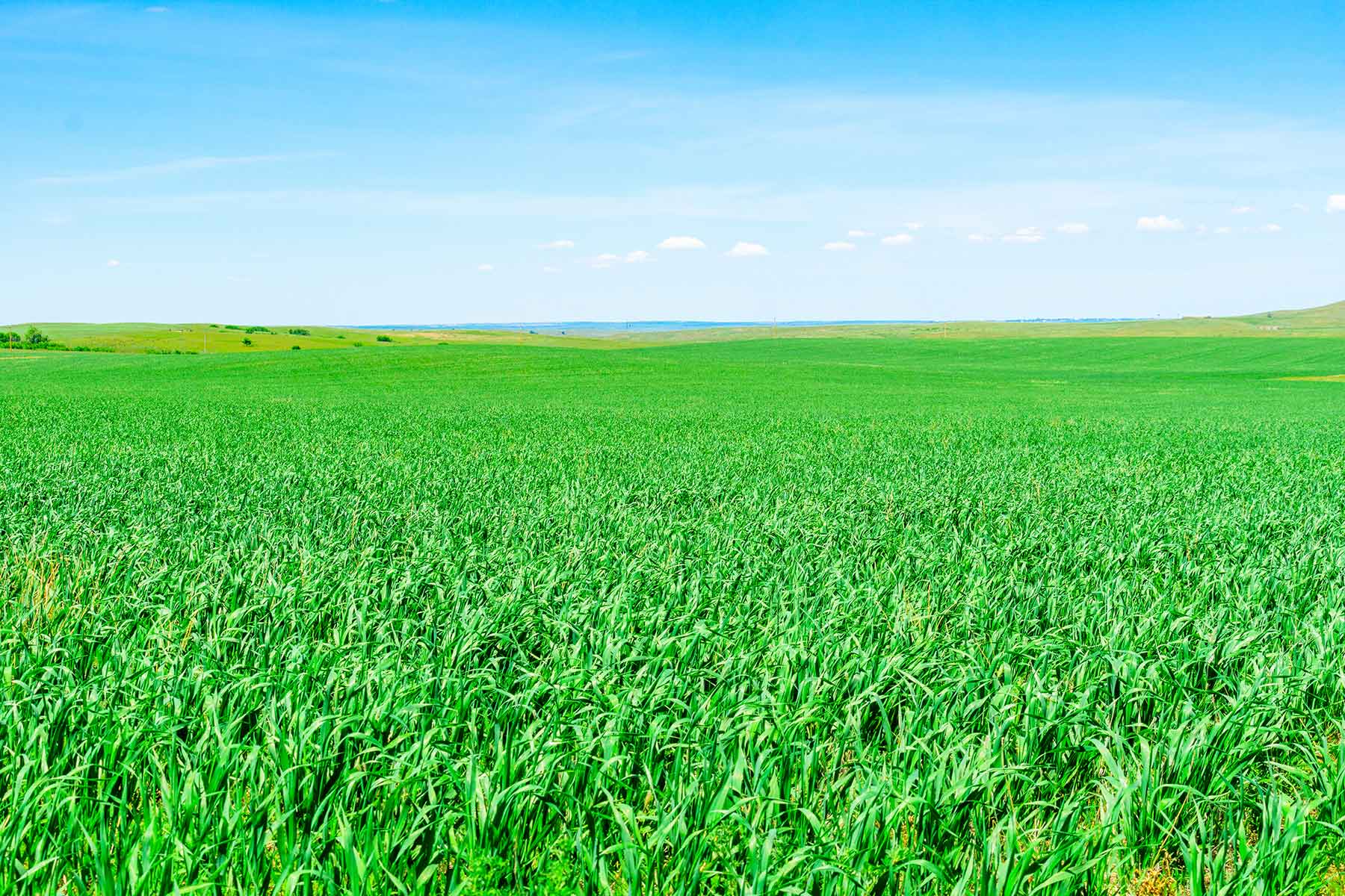 Little White River Ranch property picture 86 of 189