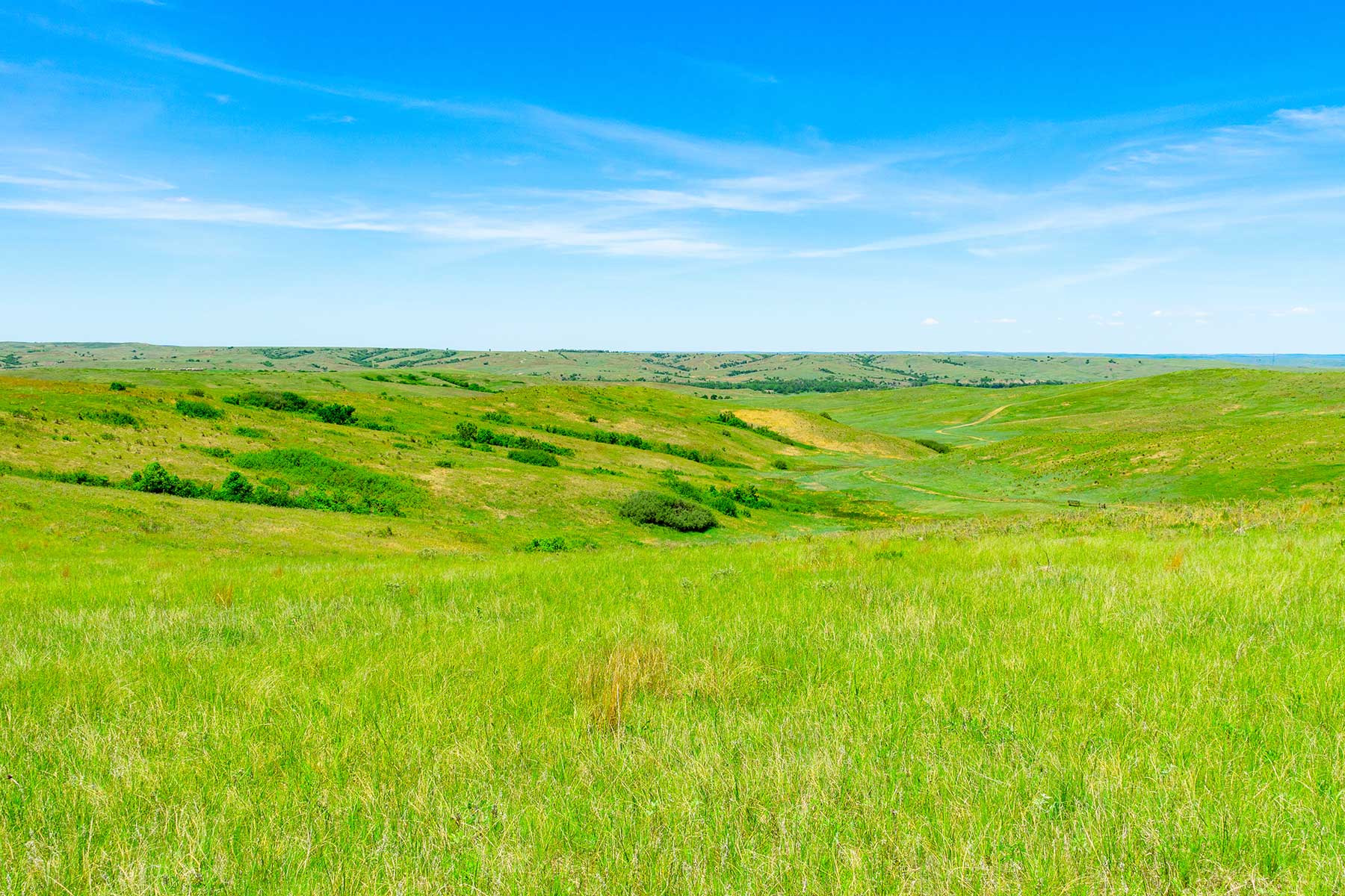 Little White River Ranch property picture 41 of 189