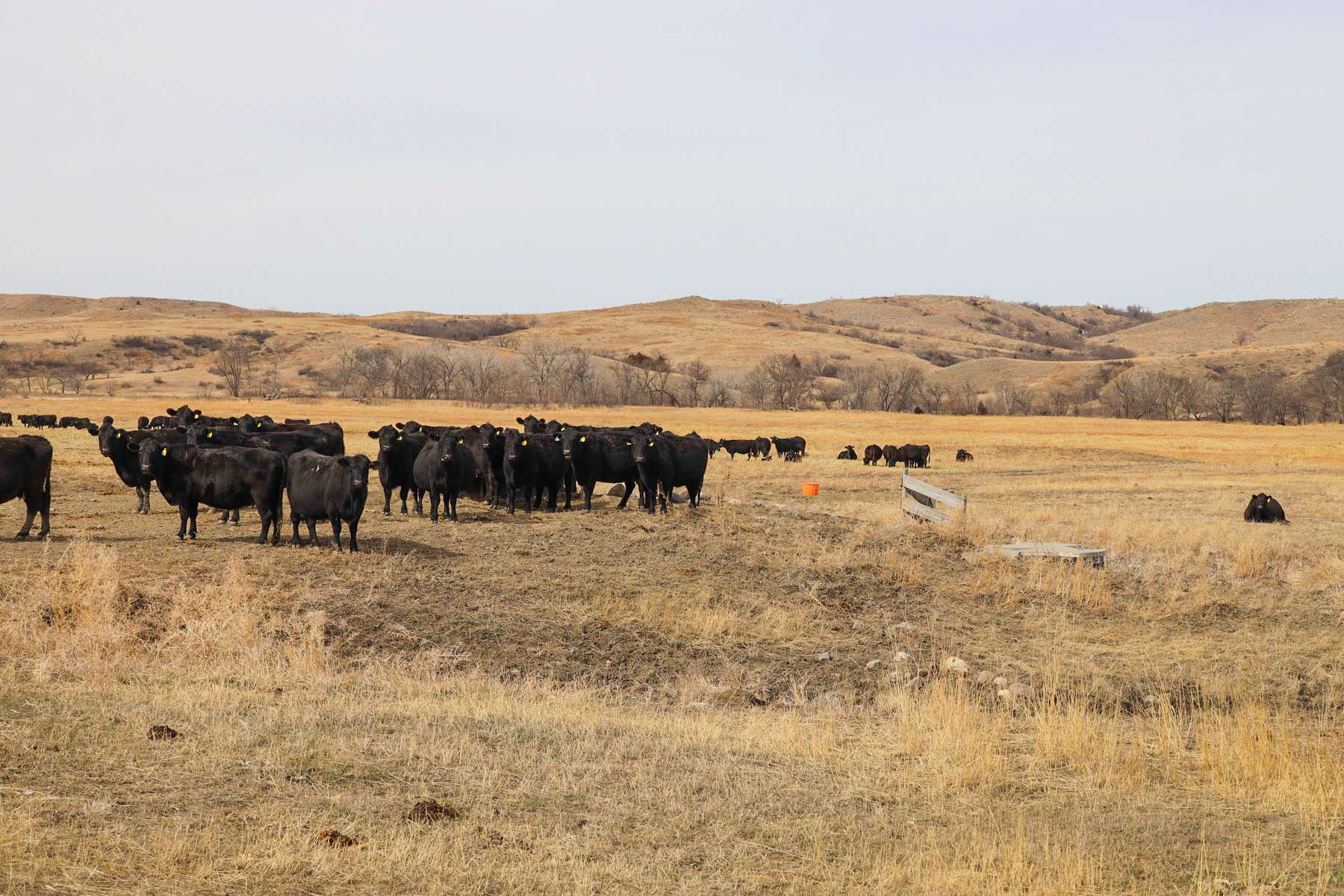 Little White River Ranch property picture 188 of 189