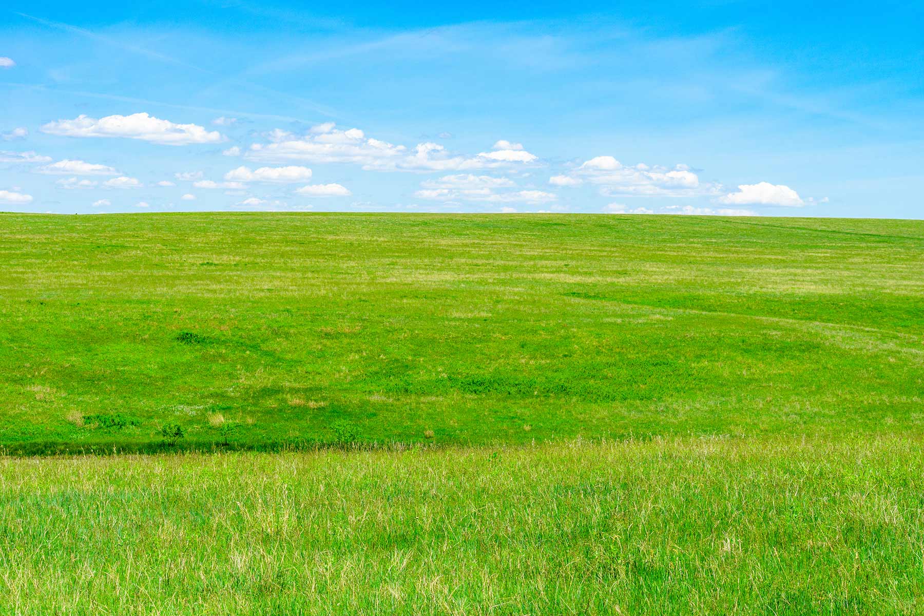 Little White River Ranch property picture 72 of 189