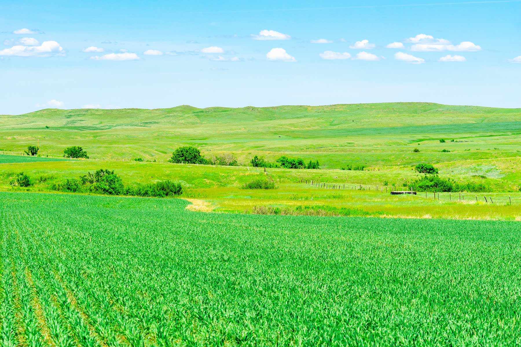 Little White River Ranch property picture 87 of 189