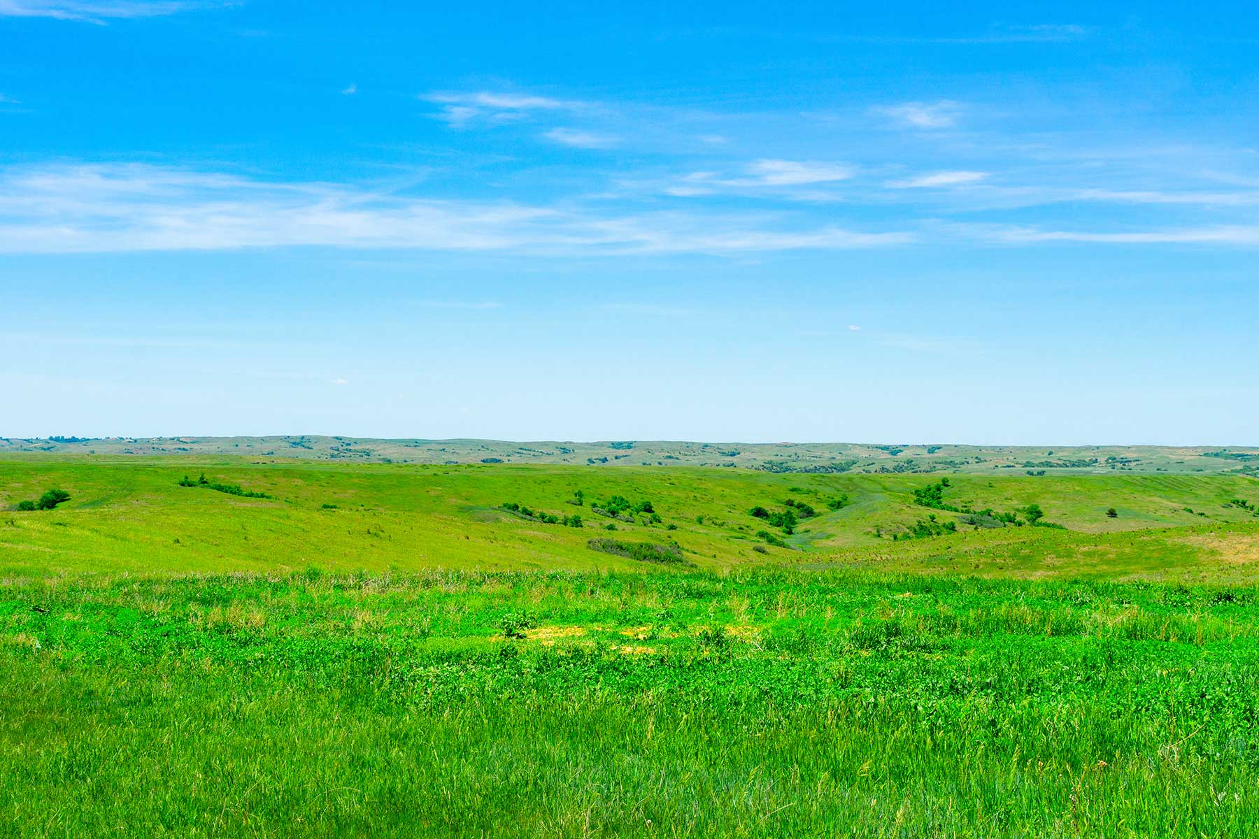 Little White River Ranch property picture 46 of 189