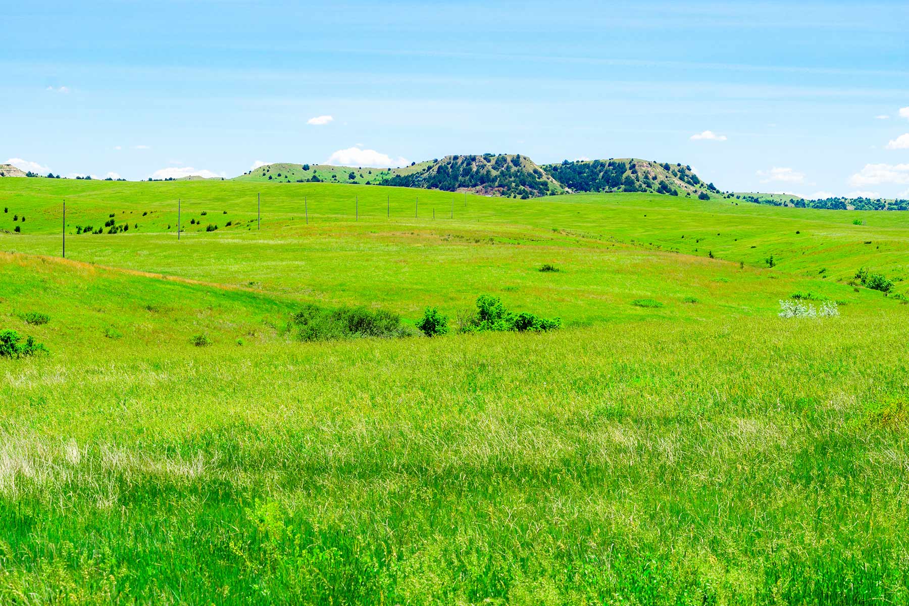 Little White River Ranch property picture 92 of 189