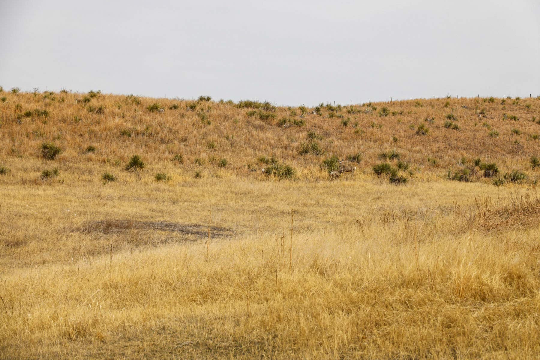 Little White River Ranch property picture 163 of 189