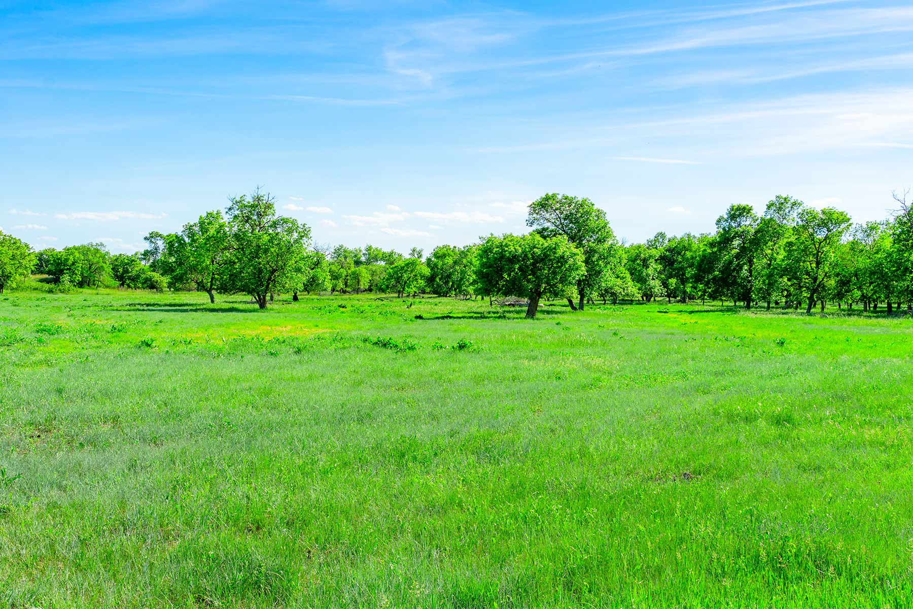Little White River Ranch property picture 123 of 189