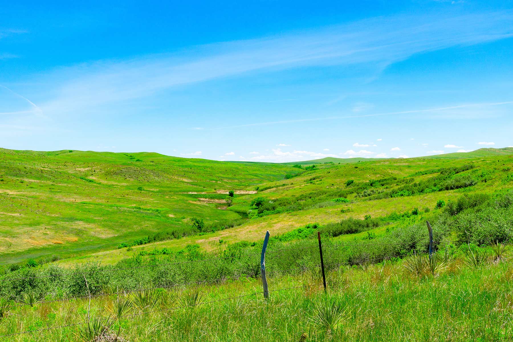 Little White River Ranch property picture 36 of 189