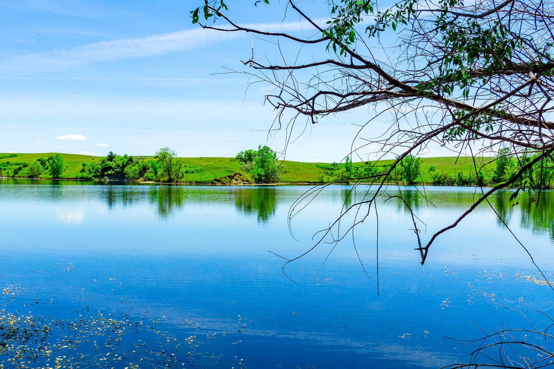 Little White River Ranch property picture 75 of 189