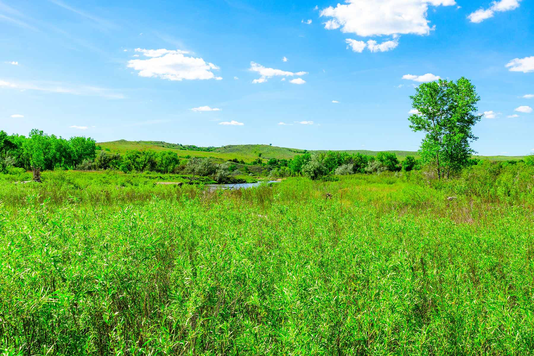 Little White River Ranch property picture 109 of 189