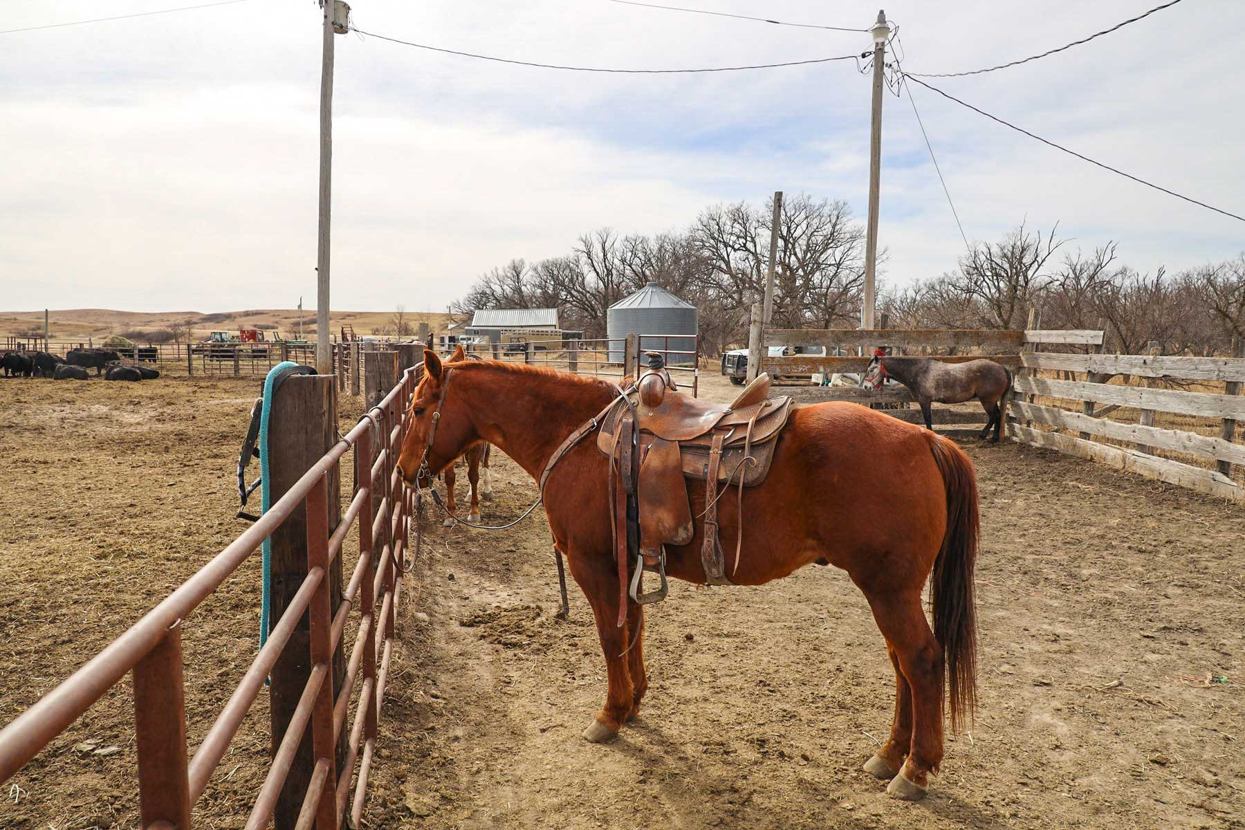Little White River Ranch property picture 175 of 189