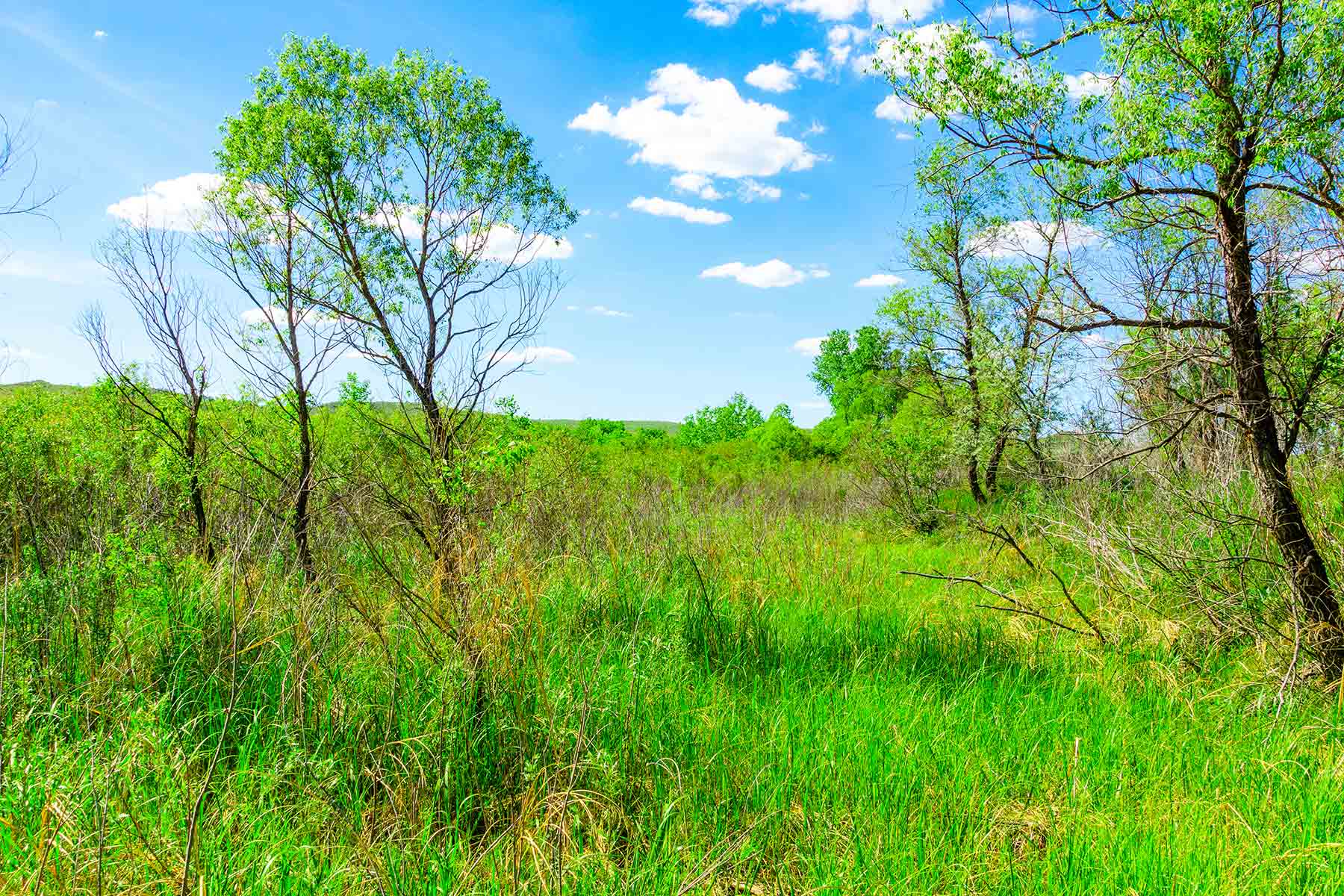 Little White River Ranch property picture 106 of 189
