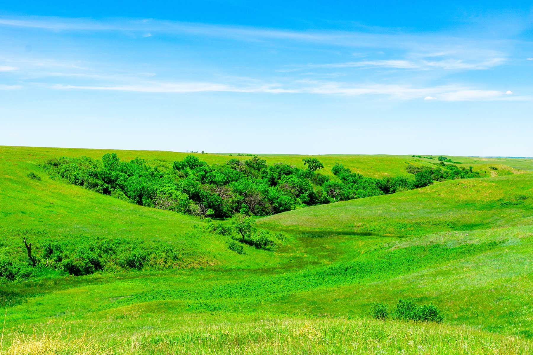 Little White River Ranch property picture 69 of 189