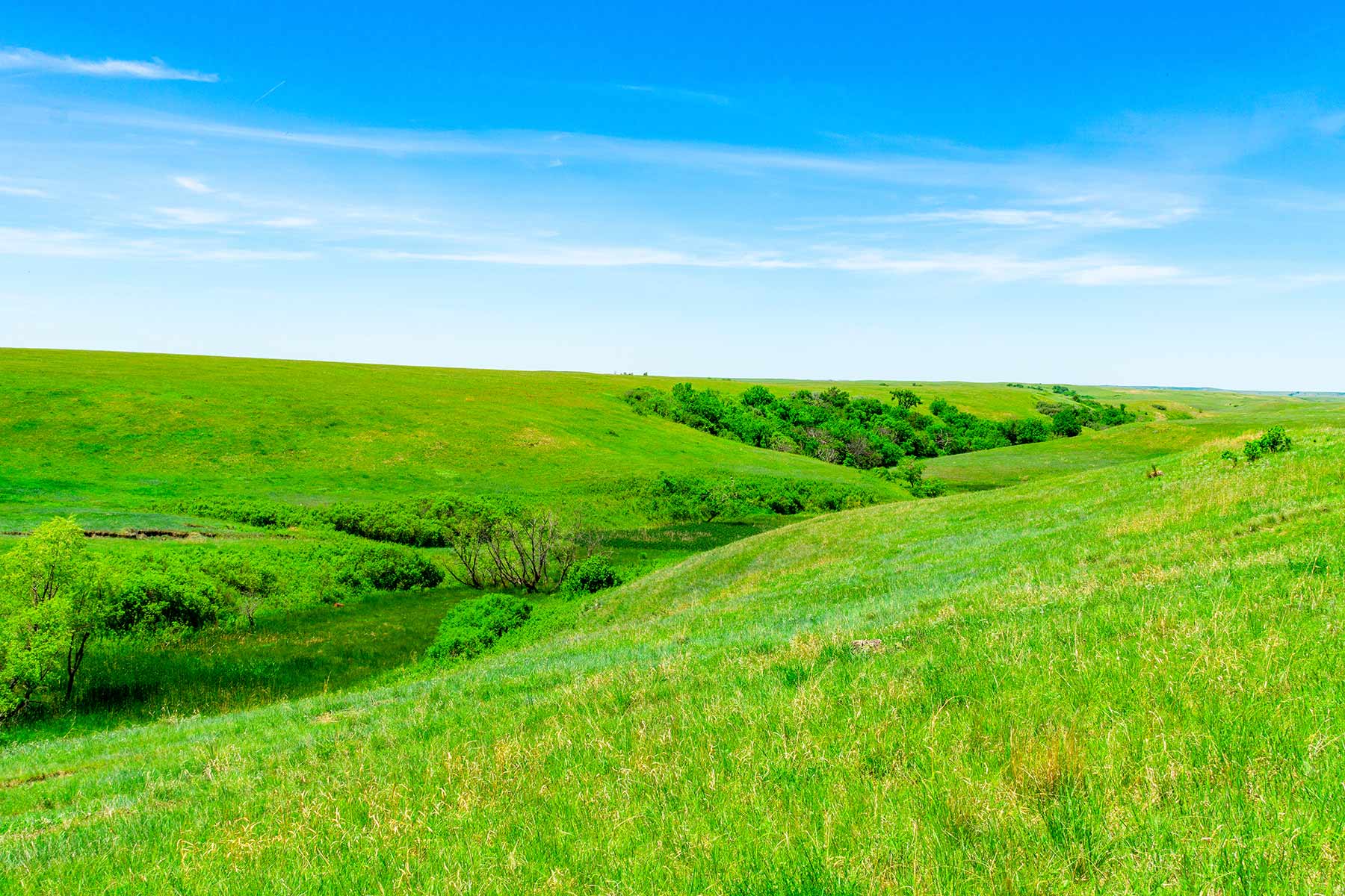 Little White River Ranch property picture 67 of 189