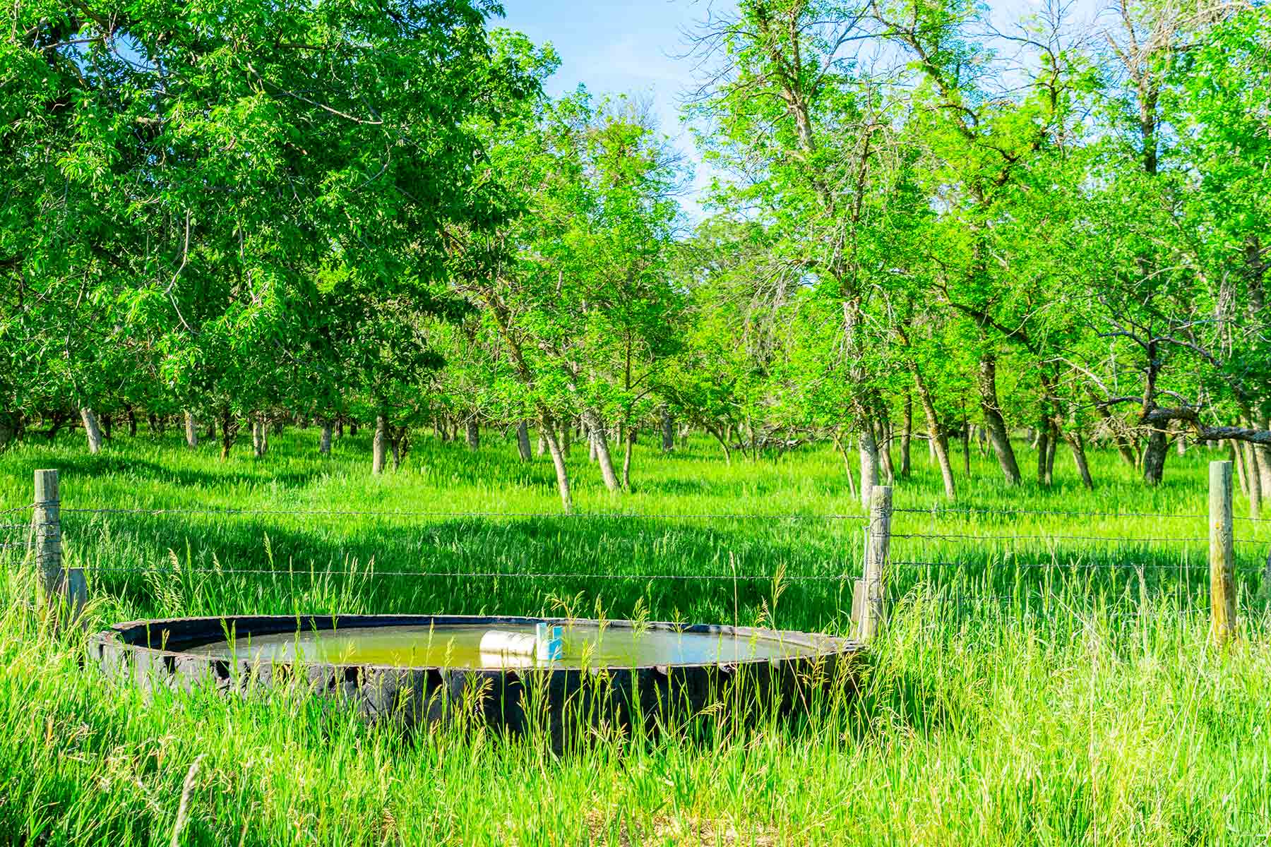 Little White River Ranch property picture 142 of 189