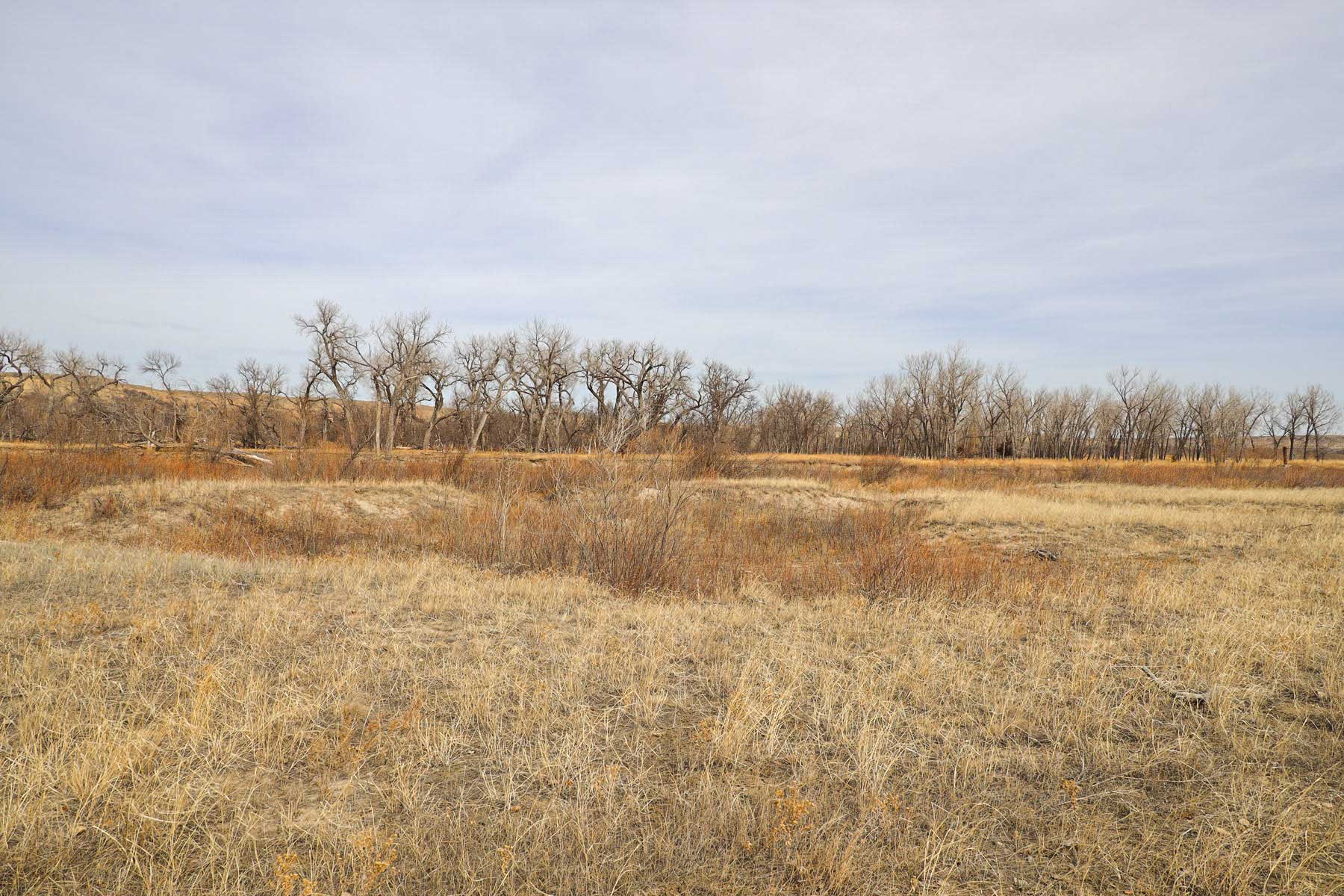 Little White River Ranch property picture 180 of 189