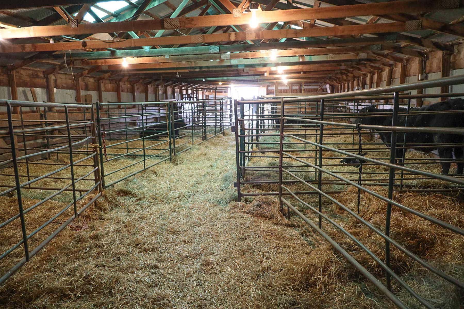 Little White River Ranch property picture 176 of 189