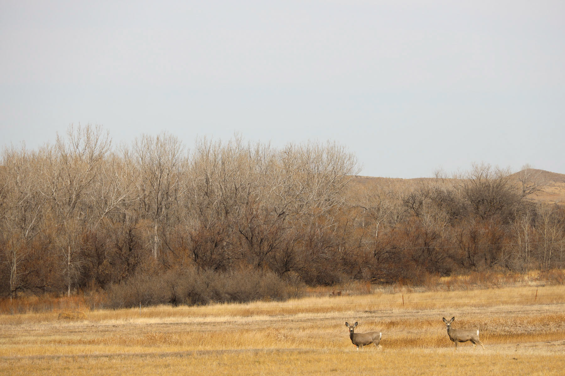 Little White River Ranch property picture 151 of 189