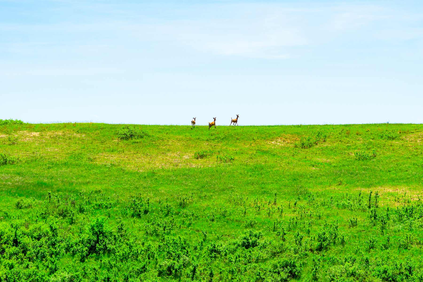 Little White River Ranch property picture 49 of 189